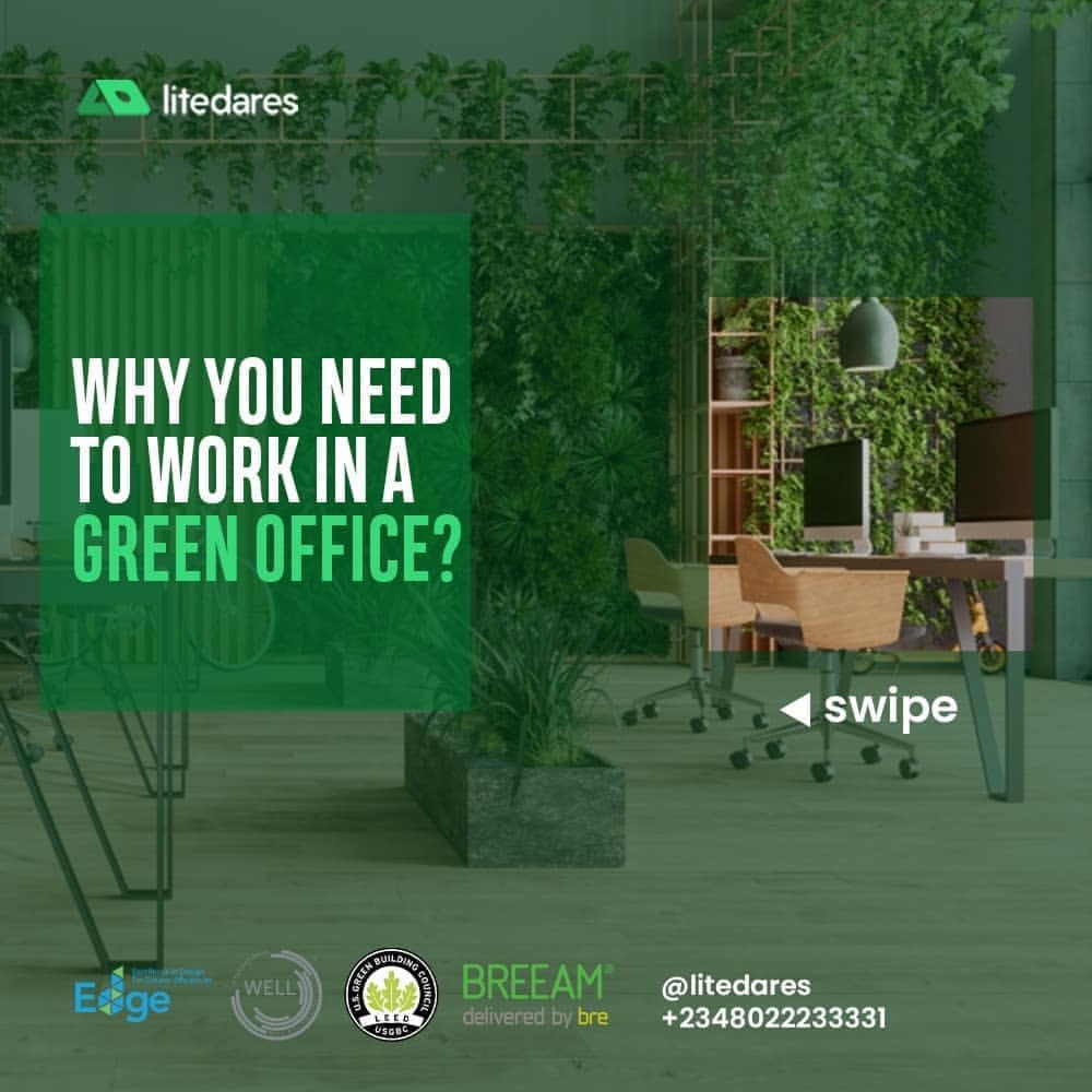 Why Green Office Is The Future Of Business Litedares   Litedares    2703263531195782268 35087164903     