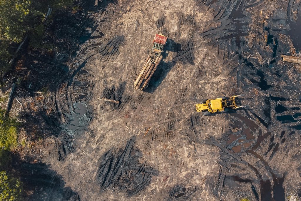 What is the Role of Deforestation in the Environmental Impact of Construction and Architecture?